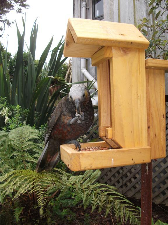 Kaka Retreat Motel, Stewart Island Half-moon Bay Exterior photo